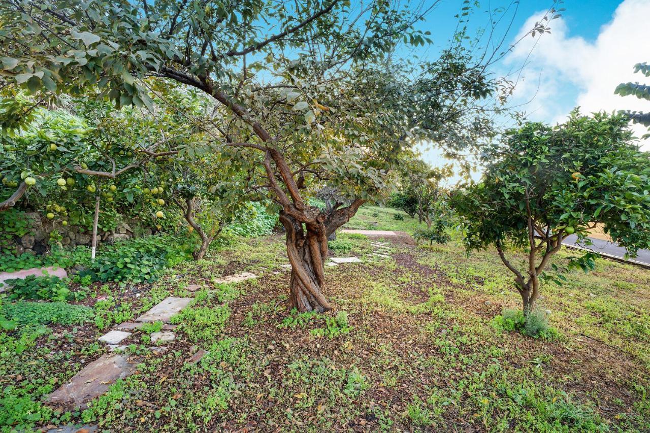 הוילה La Victoria de Acentejo Casa La Victoria מראה חיצוני תמונה